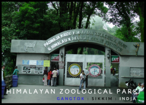 Himalayan Zoological Park : Sikkim