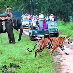 Uttarakhand Tour