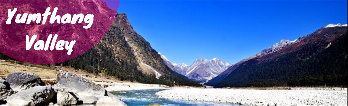 Yumthang Valley