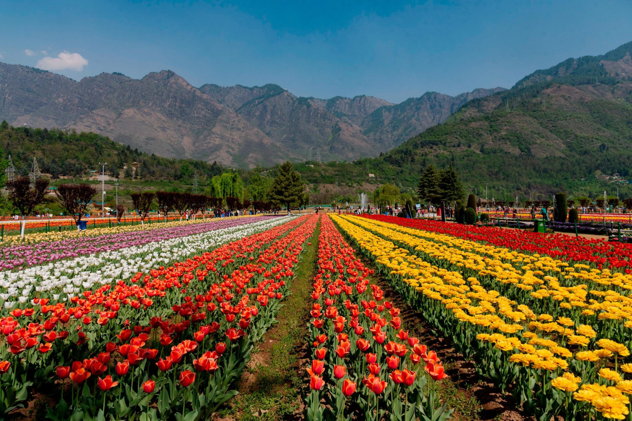 220407230731 india kashmir tourism boost scaled 220407230731 india kashmir tourism boost scaled Holiday Guide