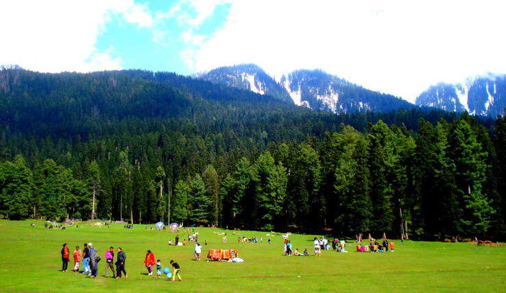 dsc00845 1523690726t 1 dsc00845 1523690726t 1 Holiday Guide