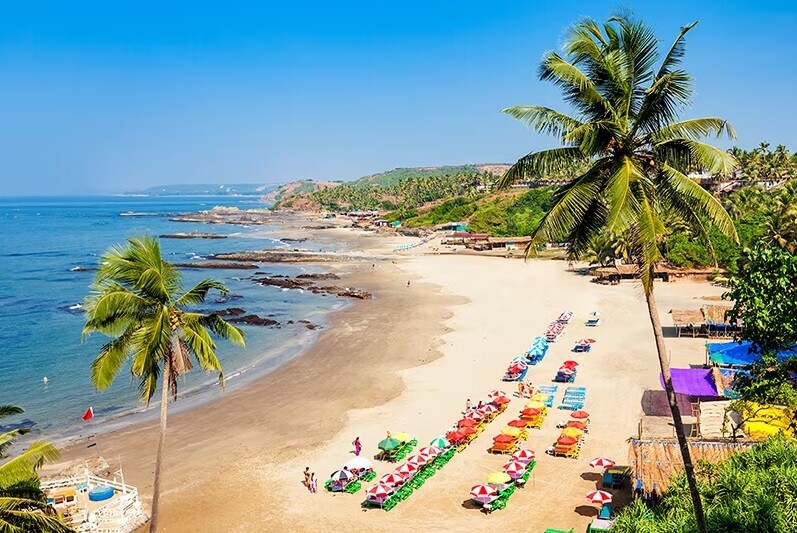 goa-package