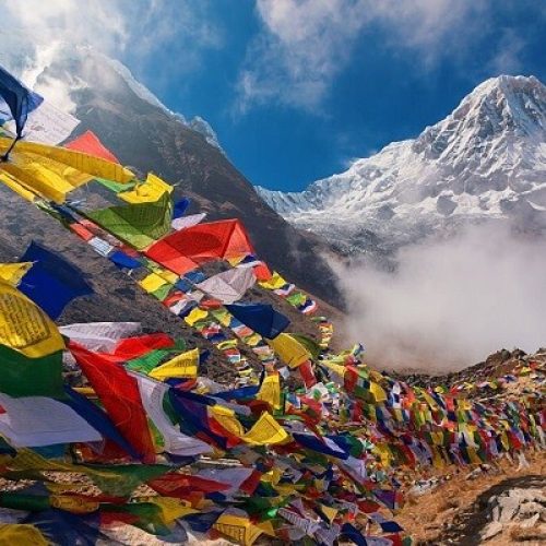 himachal package