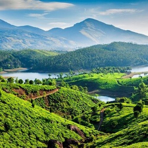 Kerala Trip