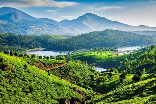 Kerala Trip