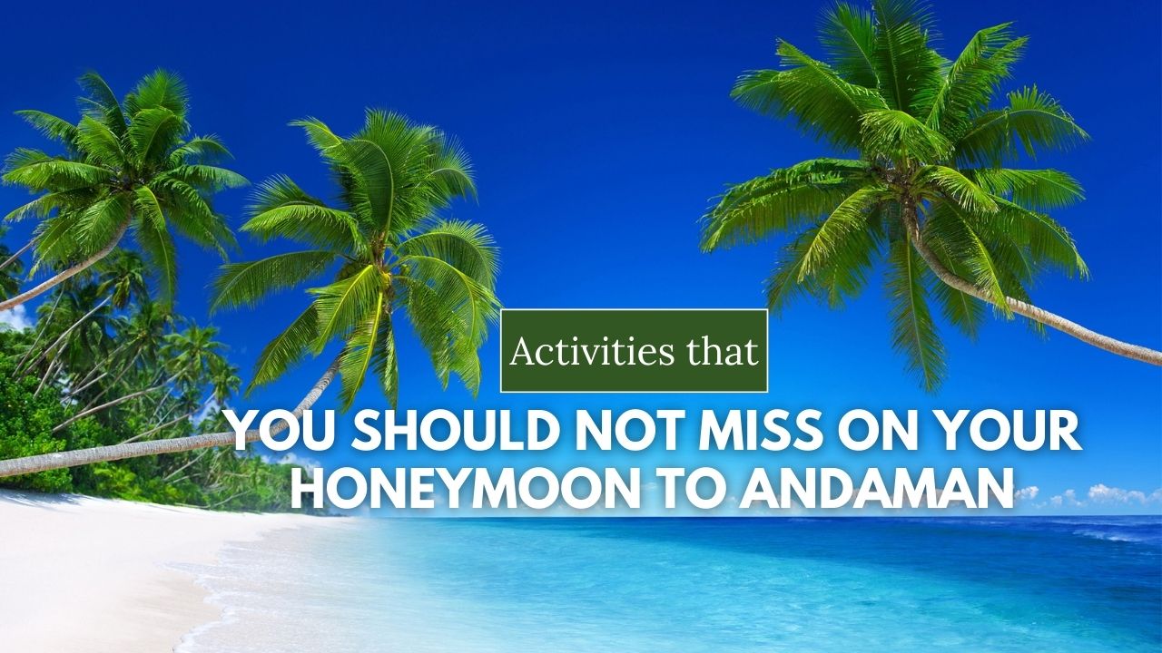 You Should Not Miss on Your Honeymoon to Andaman