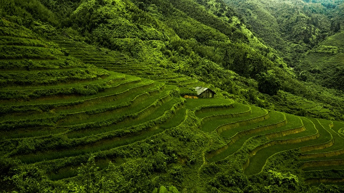vietnam tour package from kolkata 4 vietnam tour package from kolkata 4 Holiday Guide