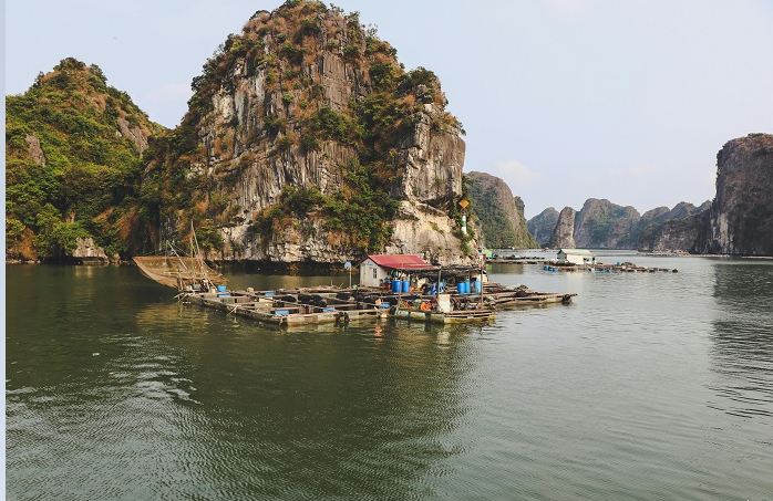 vietnam tour package from kolkata vietnam tour package from kolkata Holiday Guide