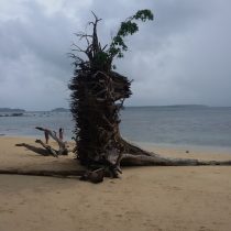 andaman-tour