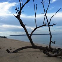 andaman-tour