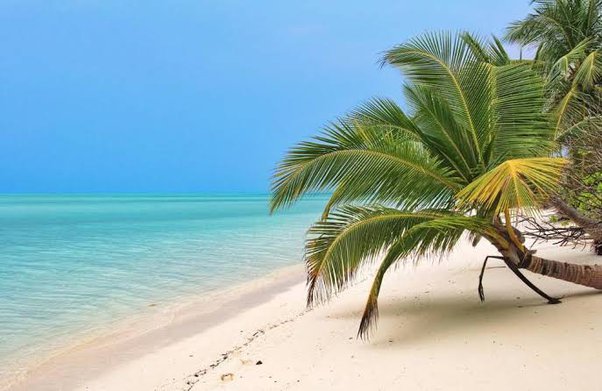 Andaman 3 N / 4 D tour paackage from Kolkata Andaman 3 N / 4 D tour paackage from Kolkata