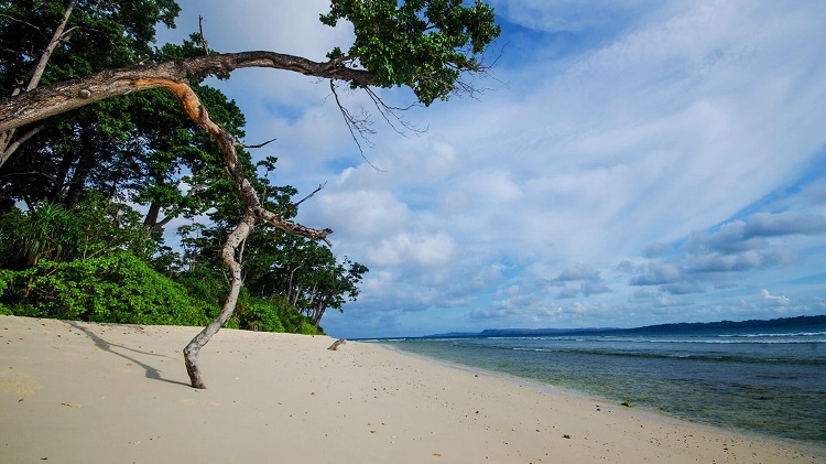 Andaman 4 N / 5 D tour package from Kolkata Andaman 4 N / 5 D tour package from Kolkata