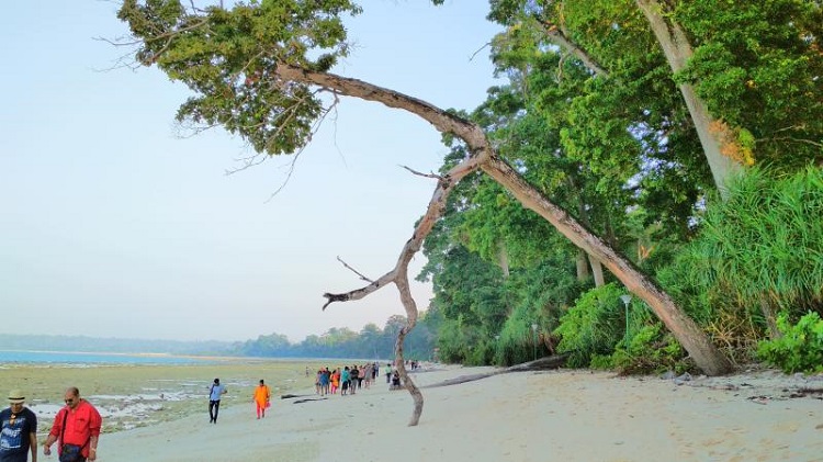 Andaman 4 N / 5 D tour package from Kolkata Andaman 4 N / 5 D tour package from Kolkata