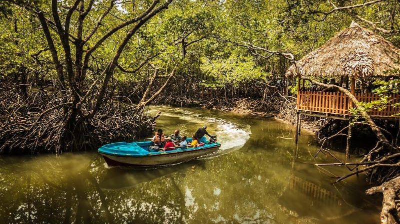 Andaman 5 N / 6 D packages tour from Kolkata Andaman 5 N / 6 D tour packages from Kolkata