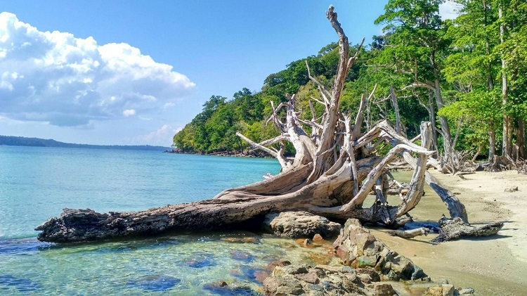 Andaman 5 N / 6 D tour package from Kolkata Andaman 5 N / 6 D tour package from Kolkata