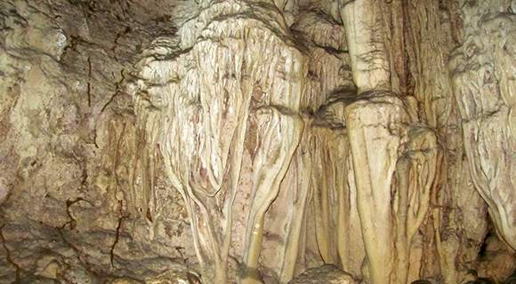 Andaman 6 N / 7 D tour package from Kolkata Andaman 6 N / 7 D tour package from Kolkata