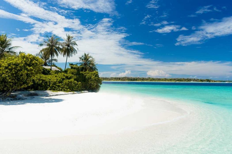 Andaman 7 N / 8 D tour package from Kolkata Andaman 7 N / 8 D tour package from Kolkata