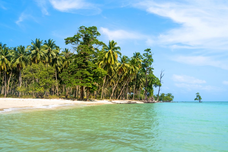 Andaman 7 N / 8 D tour package from Kolkata Andaman 7 N / 8 D tour package from Kolkata