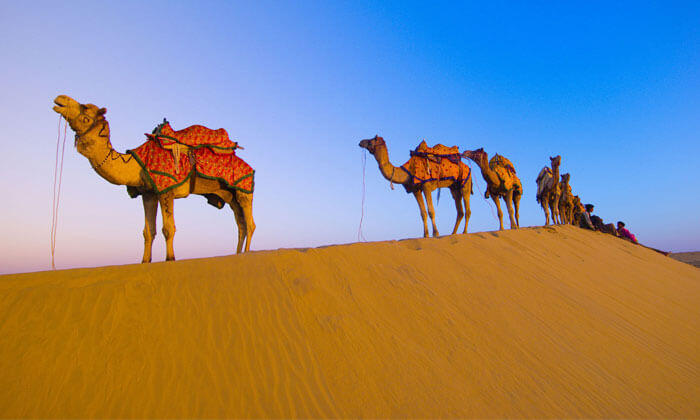rajasthan-package-package-trip-from-kolkata